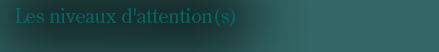 Les Niveaux d'Attention(s)